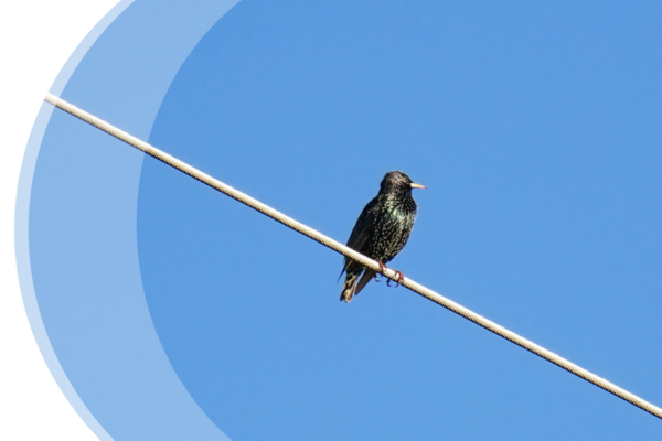 Engineering, Procurement, and Construction Management (EPCM)